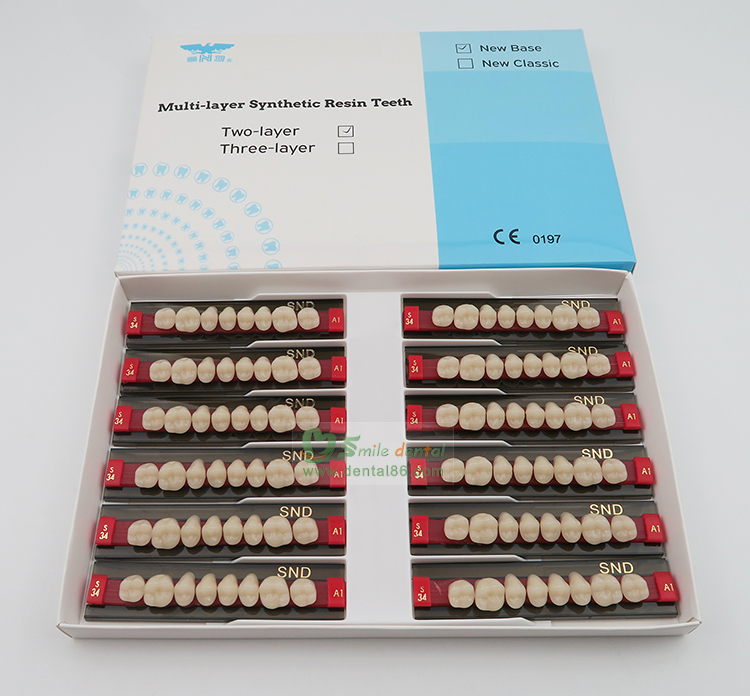 R202 Two Layer Acrylic Resin Teeth